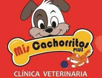 Veterinaria Mis cachorritos